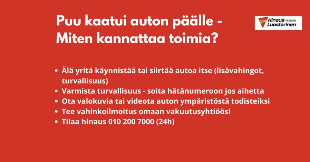 Puu kaatui auton päälle - miten kannattaa toimia?